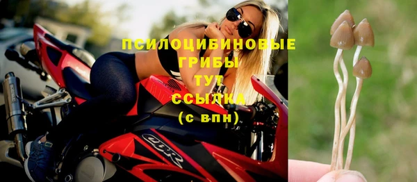 2c-b Балахна